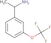 (S)-1-(3-(Trifluoromethoxy)phenyl)ethan-1-amine