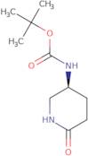 (R)-tert-Butyl 6-oxopiperidin-3-ylcarbamate