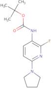 tert-Butyl 2-fluoro-6-(pyrrolidin-1-yl)pyridin-3-ylcarbamate