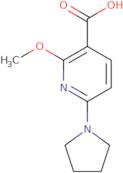 2-Methoxy-6-(pyrrolidin-1-yl)nicotinic acid