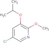 5-Chloro-3-isopropoxy-2-methoxypyridine