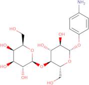 4-Aminophenyl b-D-lactopyranoside