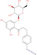 4-Azidophlorizin