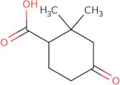 2,2-Dimethyl-4-oxocyclohexanecarboxylic acid