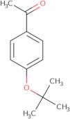 1-[4-(tert-Butoxy)phenyl]ethan-1-one