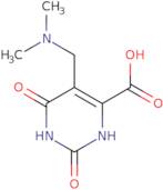 5-Dimethylaminomethyl-2,6-dioxo-1,2,3,6-tetrahydro-pyrimidine-4-carboxylic acid