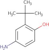 4-amino-2-(tert-butyl)phenol