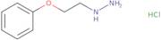 1-(2-phenoxyethyl)hydrazine