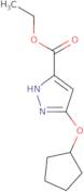 20α-Dihydrodydrogesterone-d7 (major)