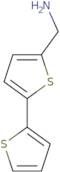 2,2-Bithiophene-5-methylamine