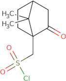 10-Camphorsulfonyl chloride