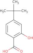 4-(tert-Butyl)-2-hydroxybenzoic acid