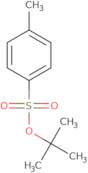 tert-Butyl 4-methylbenzene-1-sulfonate