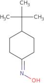 N-(4-tert-Butylcyclohexylidene)hydroxylamine