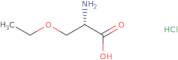 (2S)-2-Amino-3-ethoxypropanoic acid