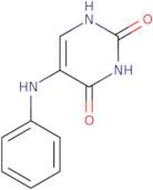 5-(Phenylamino)-1,2,3,4-tetrahydropyrimidine-2,4-dione