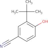 3-(tert-Butyl)-4-hydroxybenzonitrile