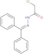 2-Chloro-N'-(diphenylmethylidene)acetohydrazide