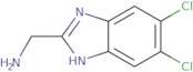 1-(5,6-Dichloro-1H-1,3-benzodiazol-2-yl)methanamine