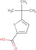 5-tert-Butylthiophene-2-carboxylic acid