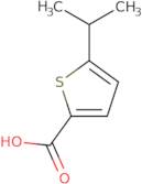 5-(Propan-2-yl)thiophene-2-carboxylic acid
