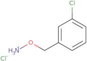 1-[(Aminooxy)methyl]-3-chlorobenzene hydrochloride