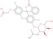 6'-(O-(Carboxymethyl))-2',7'-dichlorofluoroscein 3'-(O-(N-acetyl-b-D-glucosamide))
