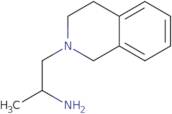 1-(3,4-Dihydroisoquinolin-2(1H)-yl)propan-2-amine