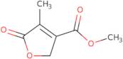 Methyl 4-methyl-5-oxo-2,5-dihydro-3-furancarboxylate