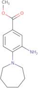 Methyl 3-amino-4-(azepan-1-yl)benzoate