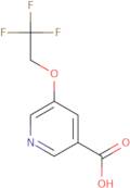 5-(2,2,2-Trifluoroethoxy)pyridine-3-carboxylic acid