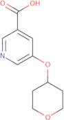 5-(Oxan-4-yloxy)pyridine-3-carboxylic acid