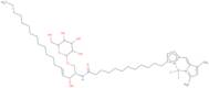 N-(4,4-Difluoro-5,7-dimethyl-4-bora-3a,4a-diaza-s-indacene-3-dodecanoyl)sphingosyl 1-b-D-galactopyranoside