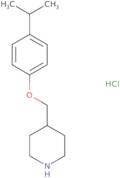 4-(2-Furylmethyl)-1lambda~6~,4-thiazinane-1,1-dione