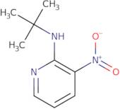 N-tert-Butyl-3-nitropyridin-2-amine