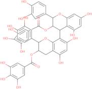 Procyanidin B2 3,3'-di-o-gallate