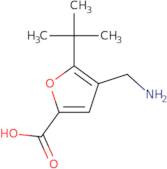 4-Aminomethyl-5-tert-butyl-furan-2-carboxylic acid