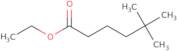 Ethyl 5,5-dimethylhexanoate