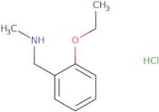 [(2-Ethoxyphenyl)methyl](methyl)amine hydrochloride