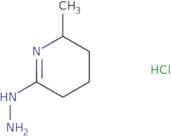 6-Methyl-2-pyridine hydrazide hydrochloride