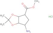 rac-Methyl (3aR,4S,6R,6aS)-6-amino-2,2-dimethyl-hexahydrocyclopenta[D][1,3]dioxole-4-carboxylate h…