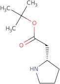 (S)-Pyrrolidin-2-yl-acetic Acid tert-Butyl Ester