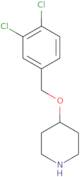 4-[(3,4-Dichlorophenyl)methoxy]piperidine