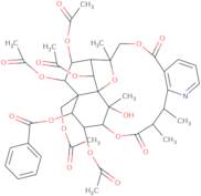 Mayteine