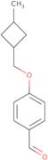 (S)-2-Amino-N-ethyl-N-(4-nitro-benzyl)-propionamide