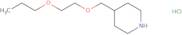 [(S)-1-(2-Amino-ethyl)-pyrrolidin-3-yl]-ethyl-carbamic acid benzyl ester