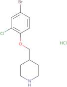 [(S)-1-(2-Chloro-acetyl)-piperidin-3-yl]-isopropyl-carbamic acid benzyl ester