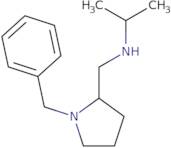 ((S)-1-Benzyl-pyrrolidin-2-ylmethyl)-isopropyl-amine