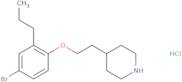 {(S)-2-[(Acetyl-isopropyl-amino)-methyl]-pyrrolidin-1-yl}-acetic acid