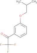 1-((S)-3-Iodo-pyrrolidin-1-yl)-ethanone